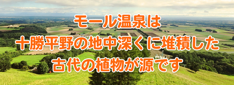 モール温泉は十勝平野の地中深くに堆積した古代の植物が源です